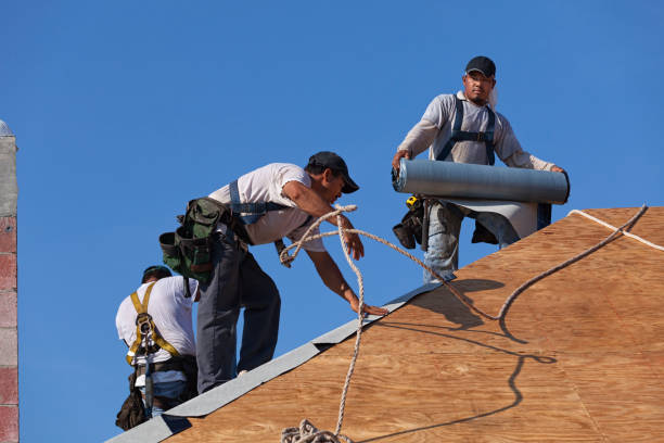 Best Roof Gutter Cleaning  in Solomon, KS